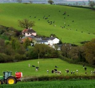agri img 4